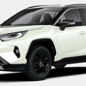 Toyota RAV4 desde 2019